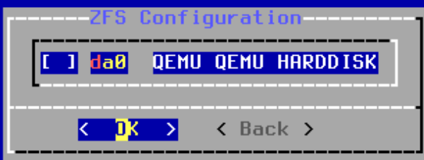 pfSense ZFS disk selection